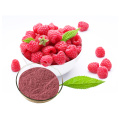 Raspberry Extract 98% Raspberry Ketone Powder