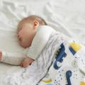 Cotton Swaddle Minky Baby Throw Planta para recém -nascido