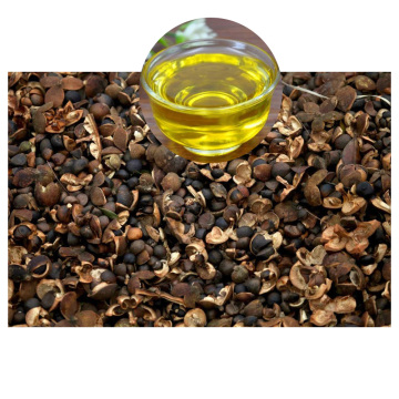 High Quality Camellia Seed Oil Factory Price
