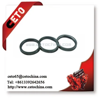 Cummins NT855 intake valve sert 200354