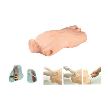 SC-L68A Advanced PVC Medical Model: Full-featured Central Vein Puncture and Injection Trainer