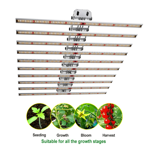 Commerciële geleide tuinbouw kweeklampen