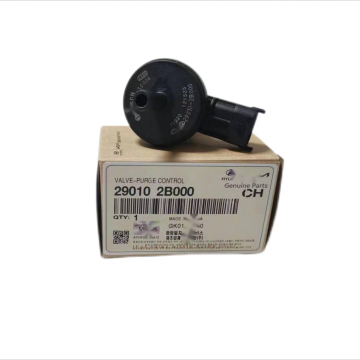 Hoge kwaliteit koolstofbus Solenoïde klep 290102B000 voor Hyundai Kia