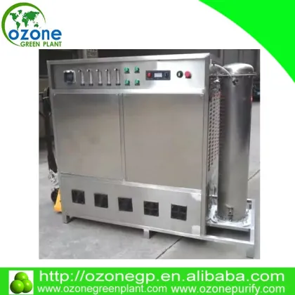 quality assurance 100G-5000G negative ion ozone generator