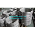 Seamless SS Pipe Stainless Coiled Tubing