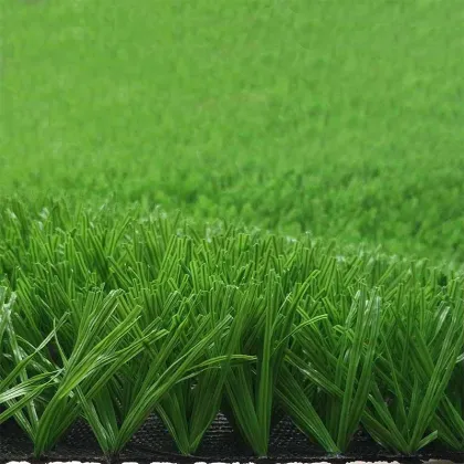 Rugby Experience with Rugby Field Artificial Grass