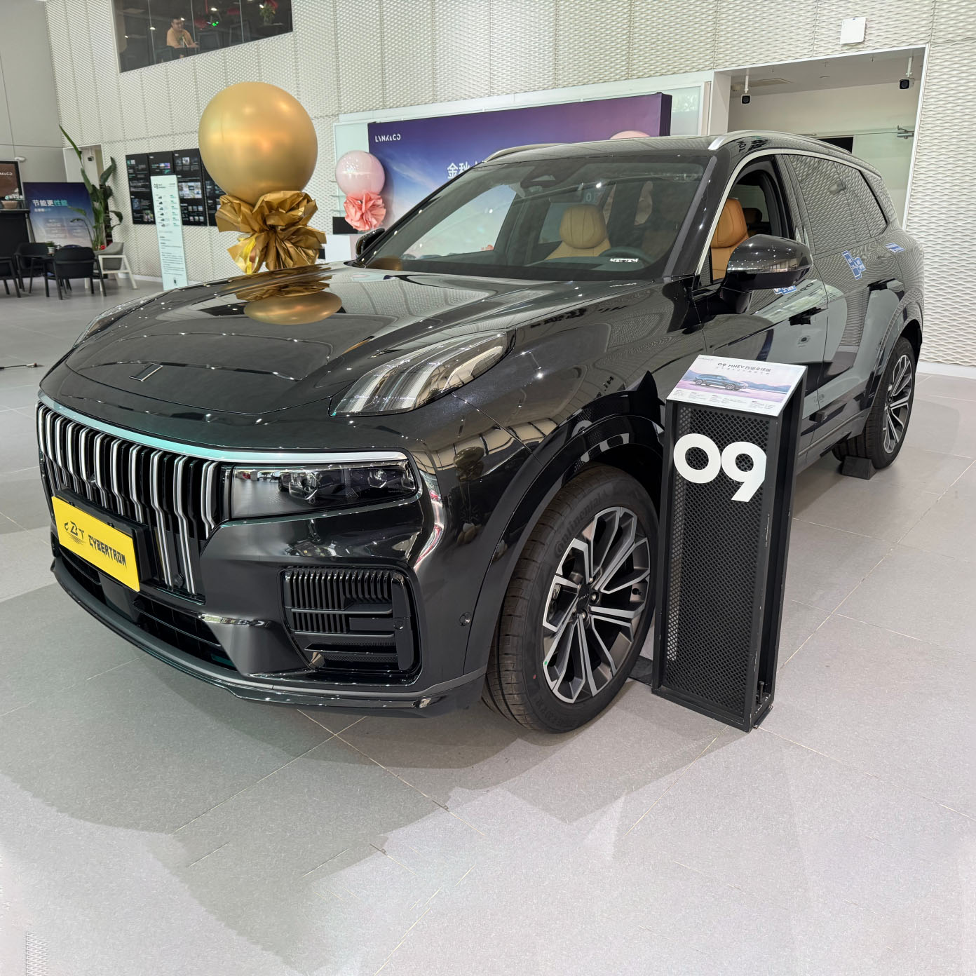 yacht-class body proportions