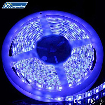 5050 white led strip colorful lighting 2 years warranty with CE ROHS