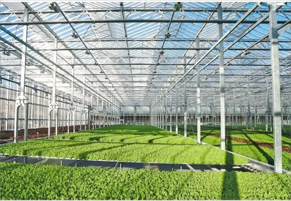 Greenhouse Climate Control Inner Shading net