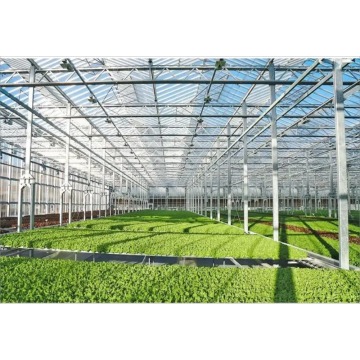 100% HDPE Shade líquido Materiais Greenhouse Netshade