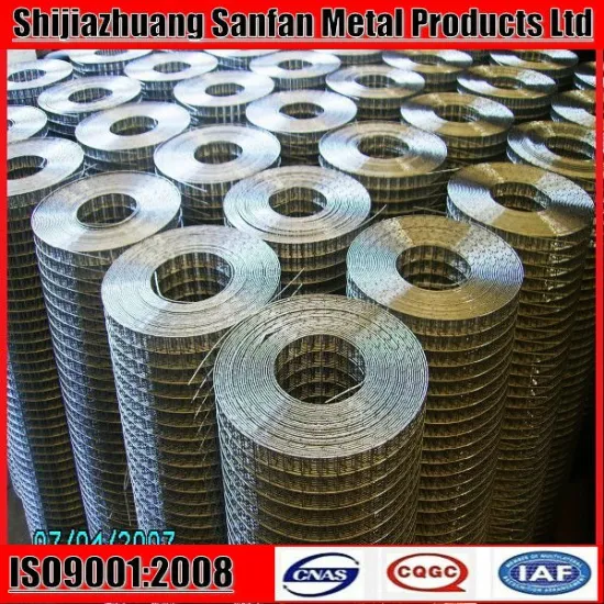 hot dipped galvanized welded wire mesh/ galvanized wire mesh