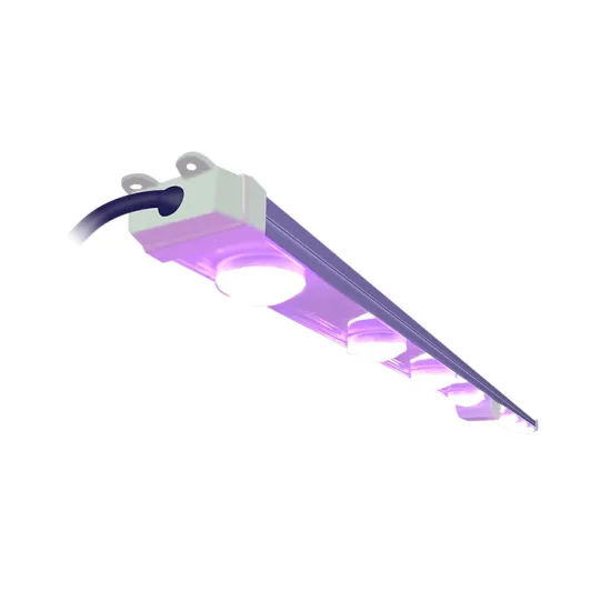 Succulent Grow Light Koray G45 LED Strip with Enhanced Efficacy via Optic Lens and Reflector Design