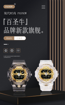 PASNEW MAN WATCH Analog Dual time watch Waterproof sports casual Wrist watches