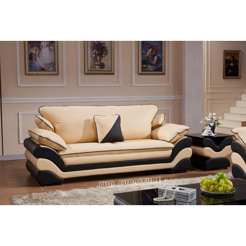 Living Room Furniture Leather Sofa combination