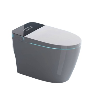 Verified Supplier Black Color WaterSense High-End Smart Home Automatic Flush Toilet
