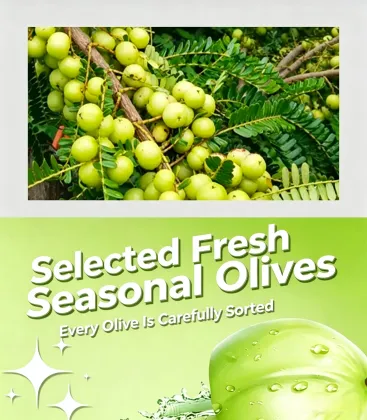 Yunnan Wild Amla Preserved Fruit Snack