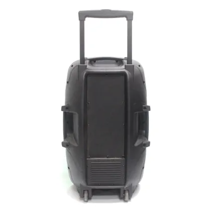 Portable Fidek Speaker Professional Bass Portable Wireless Speaker with Trolley