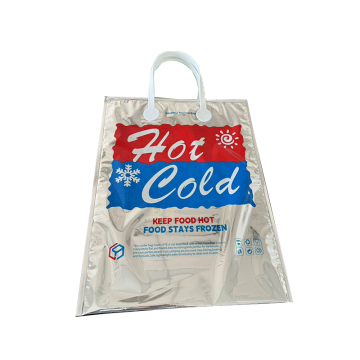 Aluminum Foil Insulated Hot & Cold Carry Bag