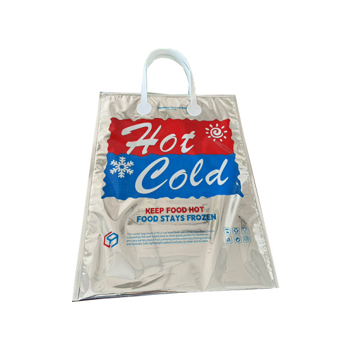Temperature control bag for beach trips