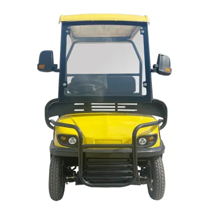 Isv Vehicle Electrique 2024: Mini Electric Golf Cart