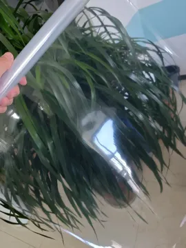 Clear PET/PA/PE Laminated Film for Food and Beer Packaging