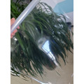 /msite/products/detail/productid/68256945/id/678003.html