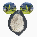 Wholesale Price Dihydromyricetin Powder 98% Extract