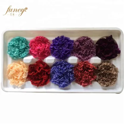 FuncyFlora Wholesale: Natural Preserved Carnation Flowers