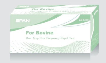 One-Step Cow Pregnancy Saliva Rapid Test