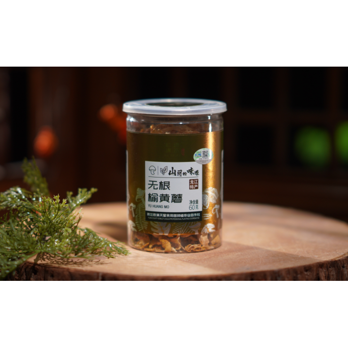 Cogumelo Amarelo Seco de Olmo