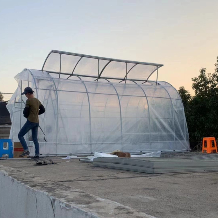 Tunnel Plastic /PE Flim Greenhouse For Vegetables