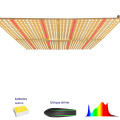 PVISUNG Grow Light Lumens