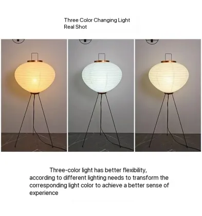 Contemporary Luxury Tripod Floor Lamp for Living Room and Study