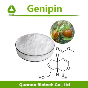 Anti-Cancer Gardenia Furit Extract Genipin 98% Powder
