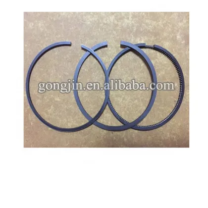 Hot Sales: In Stock Piston Ring LPW for Listers