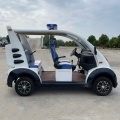 Patrulla de turismo eléctrico