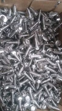 SS304 self-tapping Screw