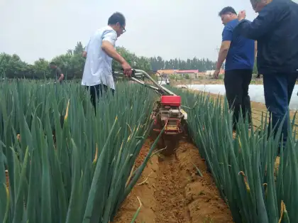 Diesel Power Tiller Cultivator Agricultural Machinery Equipment