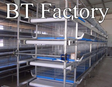 New design BT Factory hot-sale broiler chicken cages for sale(Factory price)