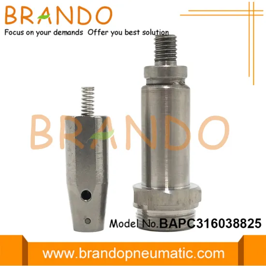 M20 Thread 16.0mm OD Stainless Steel Plunger Armature