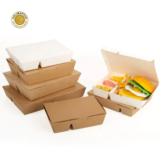 Biodegradable Paper Lunch Boxes with Multiple Compartments for Disposable Food Storage