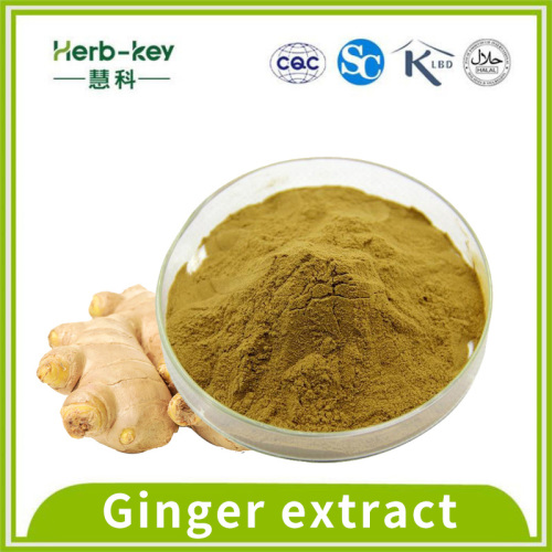 5% Cough suppressant action ginger extract gingerol