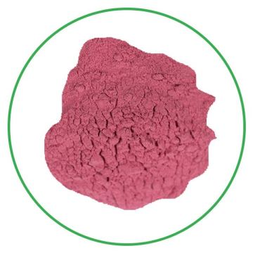 Pure natural organic mulberry powder for beverage