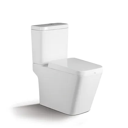 China Manufacturer Family Corner Ceramic S-Trap Toilet