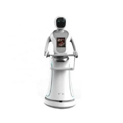 Robot Waiter For Advanced Technology