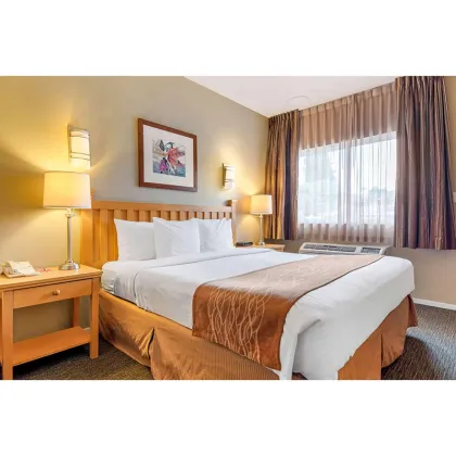 Econo Lodge 3-Star Comfort King Bedroom Sets
