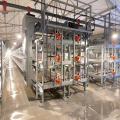 Broiler cage system chicken