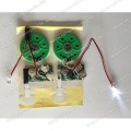 Modul Suara LED, Chip suara lidah geser, Chip Suara Pra-Rekaman LED