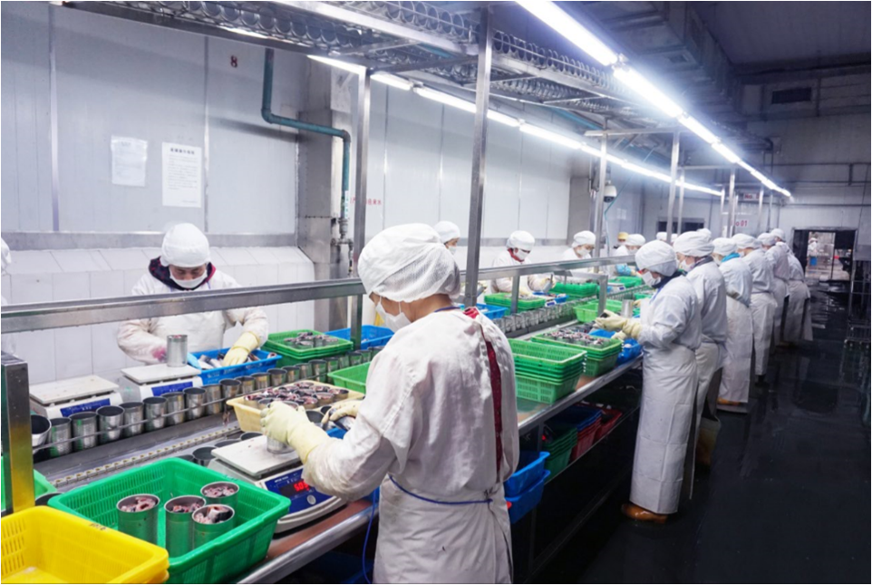 Canned Seafood Fish factory