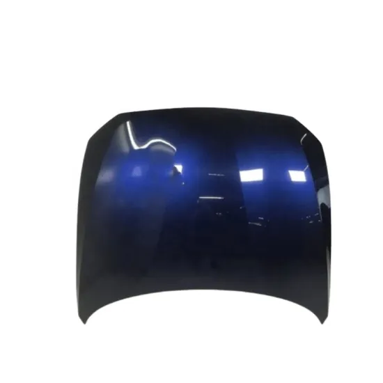 High Strength Iron Engine Hood Covering System for BMW 1 Series F20 OE 41007290942